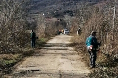 Borovac-1