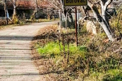 Borovac-3