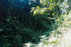 Jaruga-7