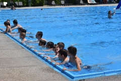 Bazen-Skola-plivanja