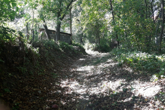 Jaruga-2