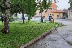 Kosenje-trave-4