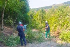 Krcenje-puta-Romulijana-3-JKP-