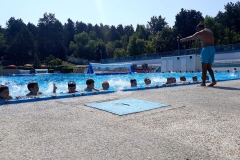 Skola-plivanja-5