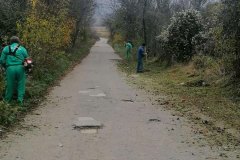 Orezivanje-puta-ka-Borovcu-6