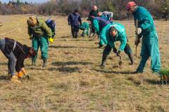 Posumljavanje-5