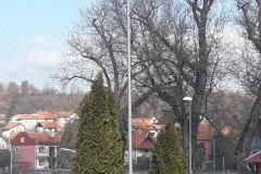 rasveta-golf-tereni-2