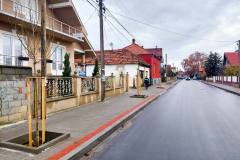Sadnja-javora-Save-Kovacevica-2