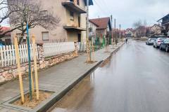 Sadnja-u-Pavla-Ilica-3
