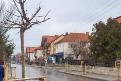 Sadnja-u-Pavla-Ilica-4
