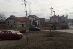 vesti-sadnjadrveca-27022019-3
