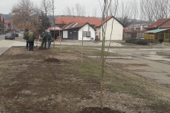 vesti-sadnjadrveca-27022019-7