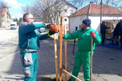 Salas-ozelenjavanje-7