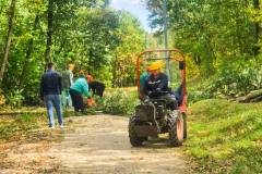 Seca-suma-Kraljevica-1
