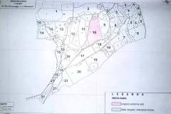 Seca-suma-Kraljevica-3