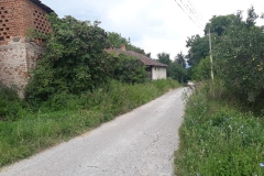 Selacka-2