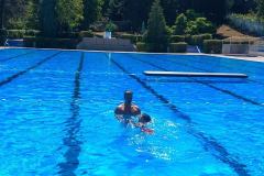 Skola-plivanja-5