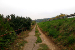 IMG-30c9ec6f27eb48bad54564ef22406008-V