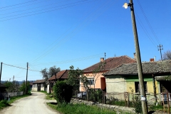 Trnavac-6