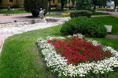 Uredjenje-travnatih-povrsina-4