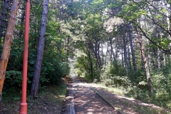 Kaldrma-Kraljevica-1